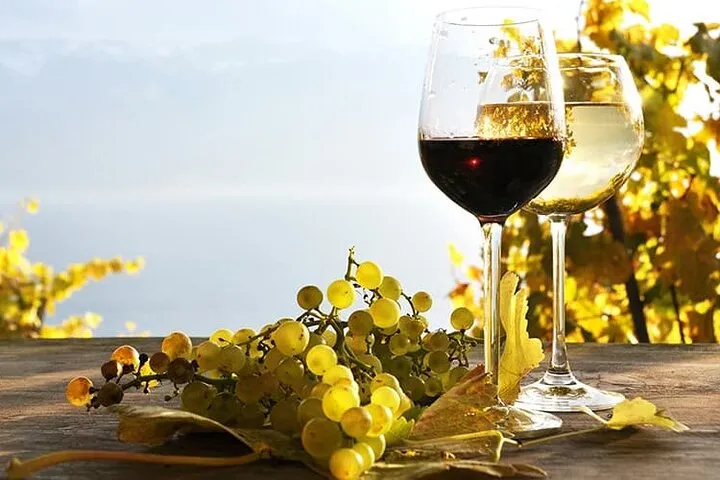 Madeira wine Tasting