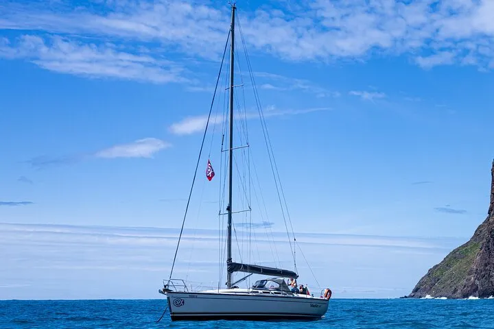 Half-Day Boat Trip Madeira Funchal- Private Yacht Snacks & Drinks