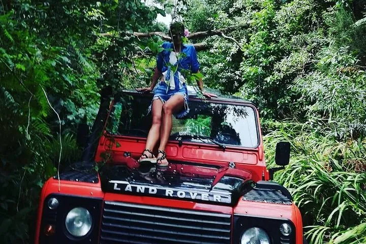 Jeep Tour To Santana: Laurissilva Forest Full-Day East-Side