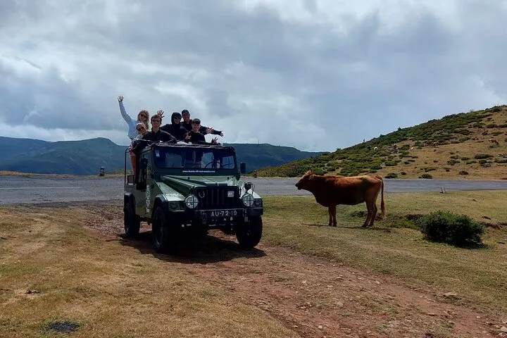 West Madeira 4x4 Adventure,Porto Moniz,Mistic Forest , views .&