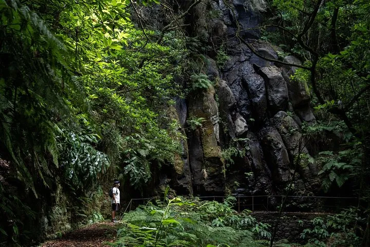 Transfer to PR9 - Levada do Caldeirão Verde