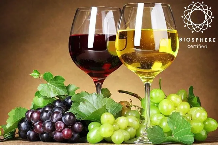 Signature Wine Tastings, Skywalk, Nature 4x4 Open Roof Expedition
