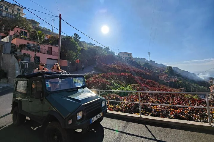 Real Life, Mountains & Sea Cliffs + Lunch + Levada walk - 6 hours, photo 7