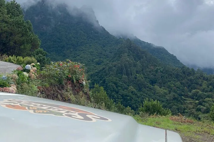 Fanal Forest, Skywalk & Lava Pools: West Madeira 4x4 Expedition, photo 10