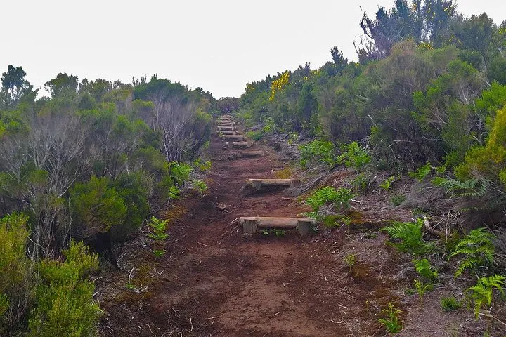 Fanal Assobiadores - Mountain Walk, photo 10
