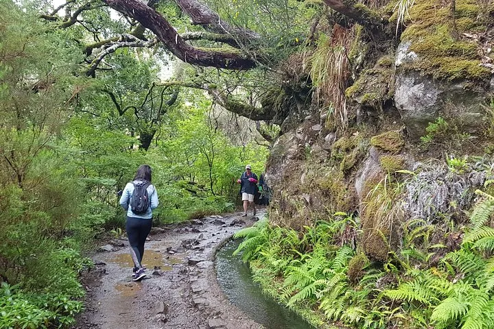 Private Guided Walk Levada 25 Fontes, photo 11