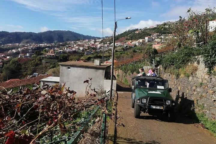 Real Life, Mountains & Sea Cliffs + Lunch + Levada walk - 6 hours, photo 11