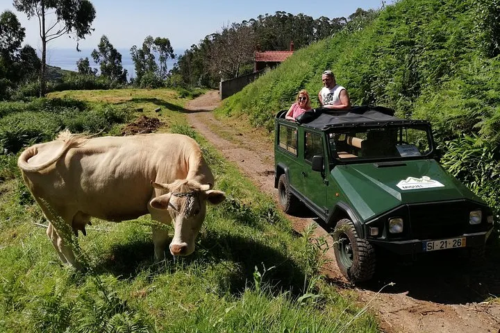 Porto Moniz - Private Full-Day - Safari 4x4 Tour - NorthWest, photo 11