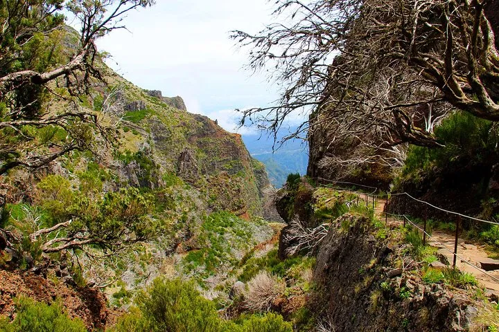 Madeira Peaks - Mountain Walk, photo 12