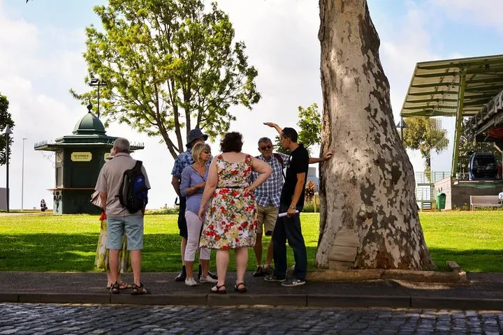 Walk with real stories