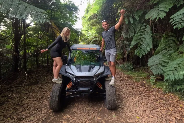Madeira Private Buggy Adventure: Forest and Mountains