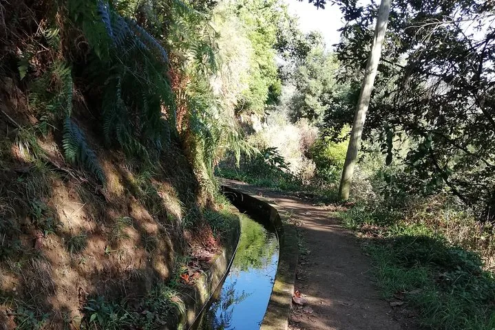 Levada da Referta - Castelejo