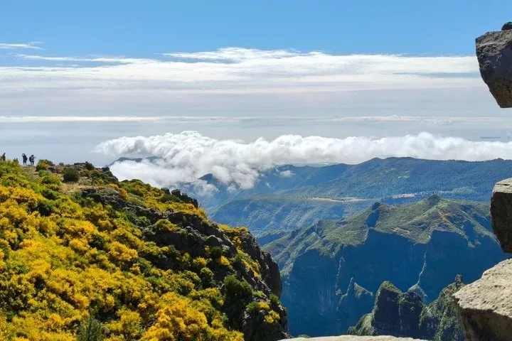 EAST: Pico do Arieiro & Laurissilva Forest - Full Day tour
