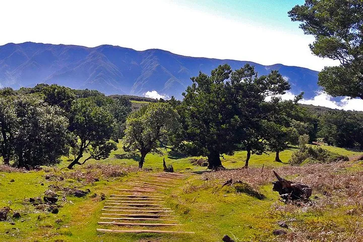 Fanal Assobiadores - Mountain Walk