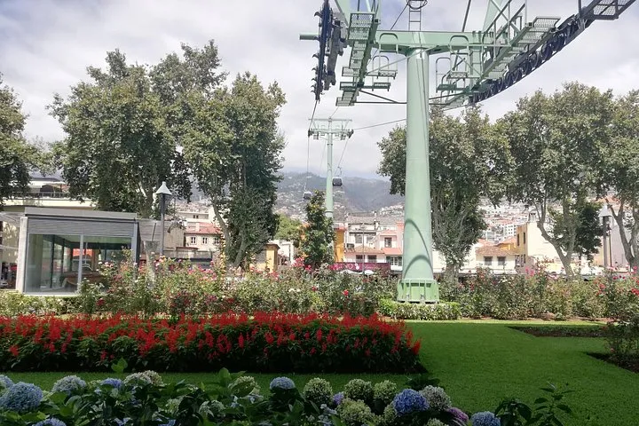 If you would like to include also some of the most popular attractions as for example the cable car, and the sledge toboggan basket ride on Monte, I am flexible!