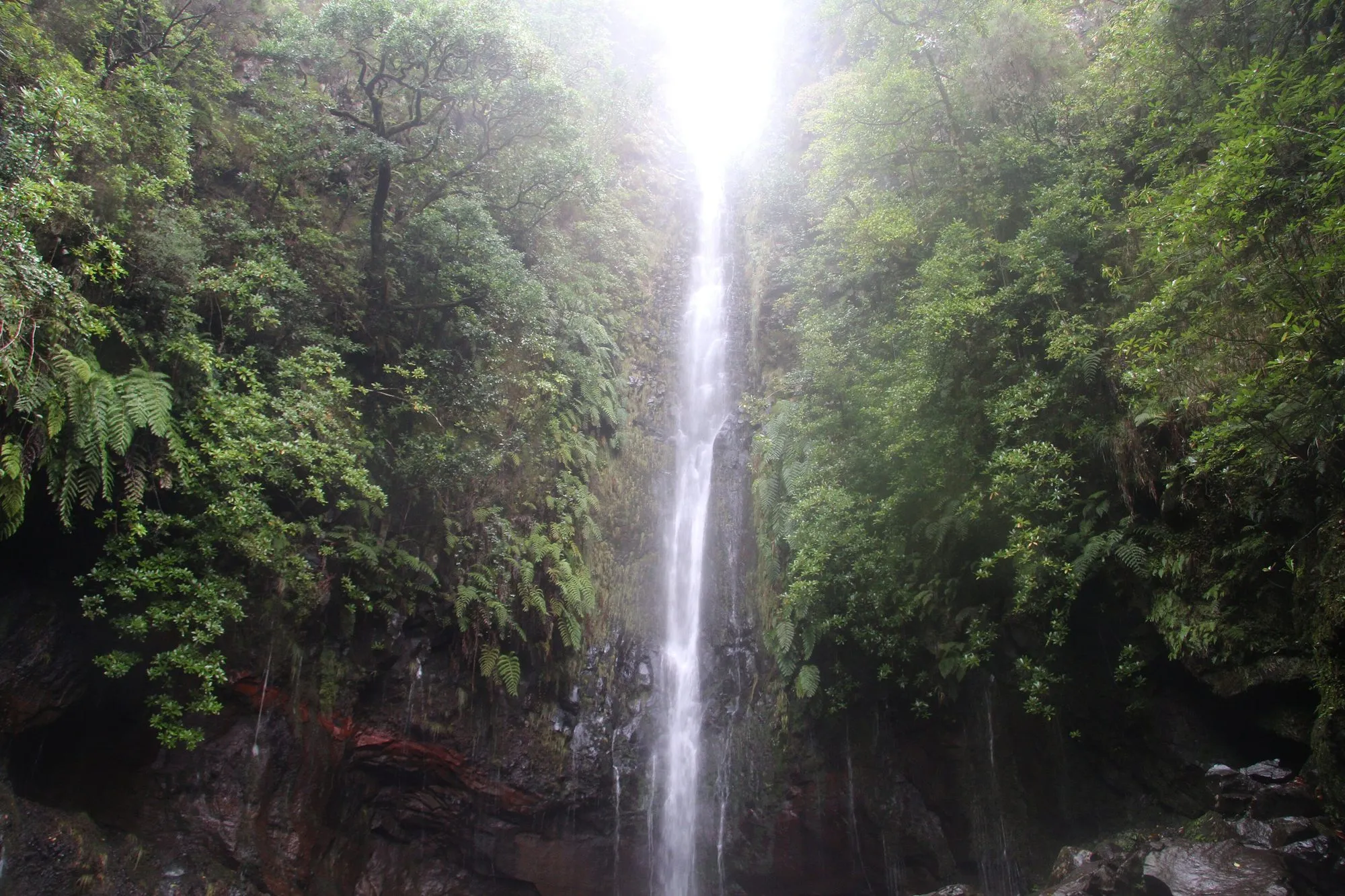 Levada das 25 Fontes, PR 6
