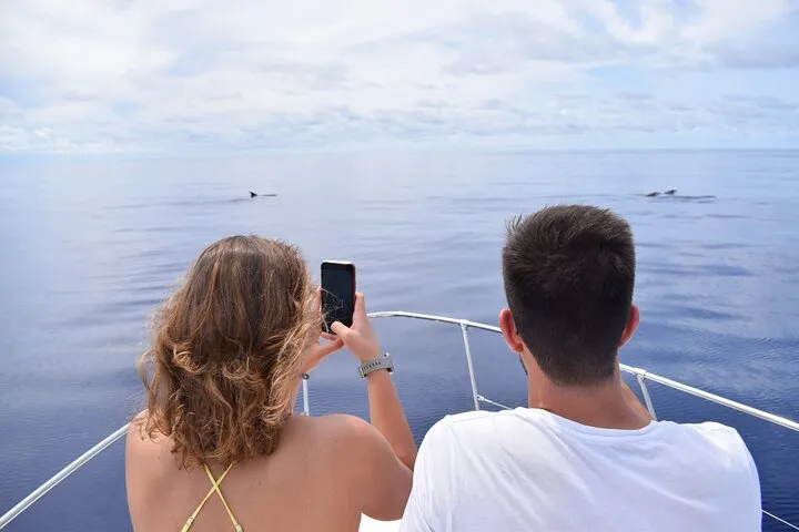 On Tales whale watching 
2020