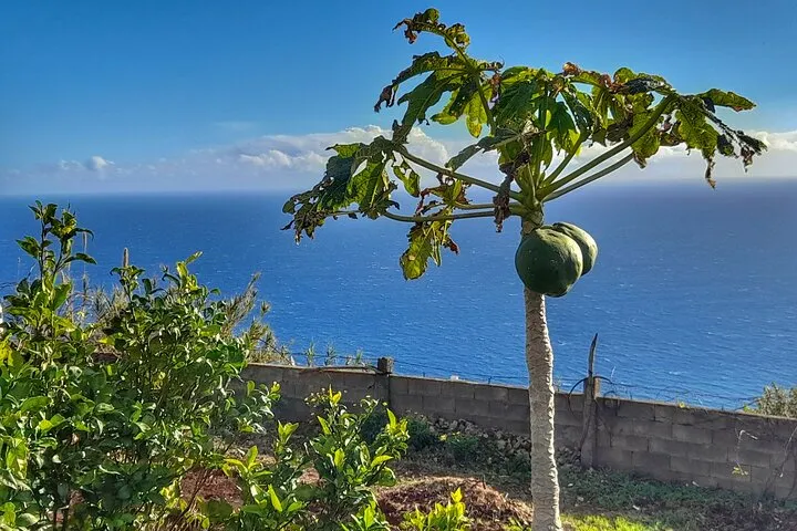 "Re-Canto" Farm-to-Table with Stunning Views at Madeira