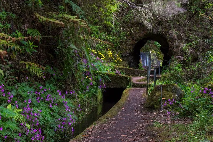 Full Day of Wonders: Madeira 4x4 Private Tour