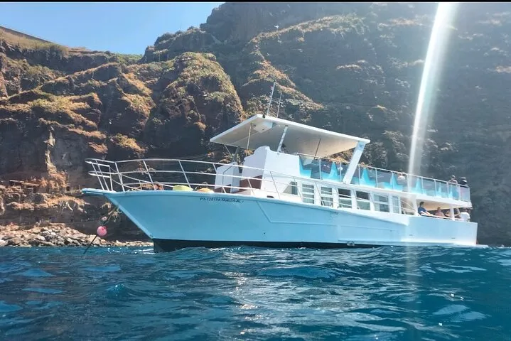 Half Day Madeira Island Cruise with Lunch