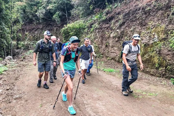 Walk with a local