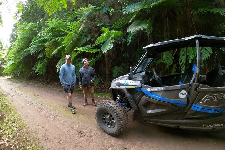 Madeira Private Buggy Adventure: Forest and Mountains