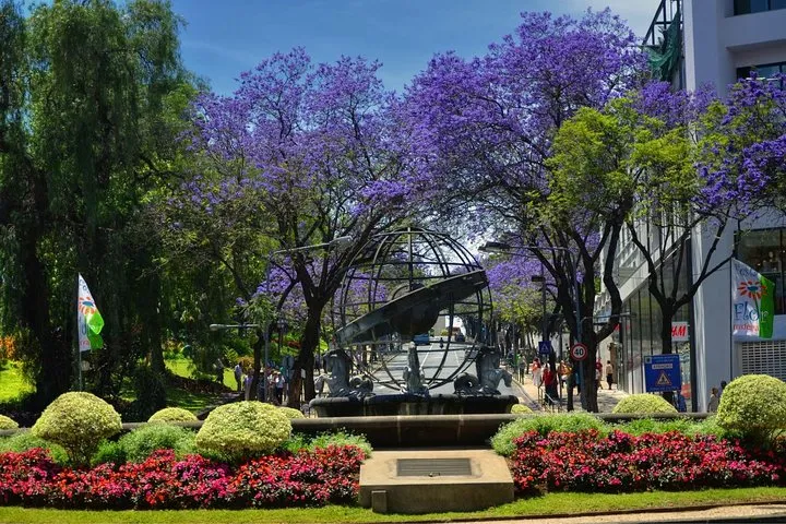 Private Funchal City Tour by Tukxi
