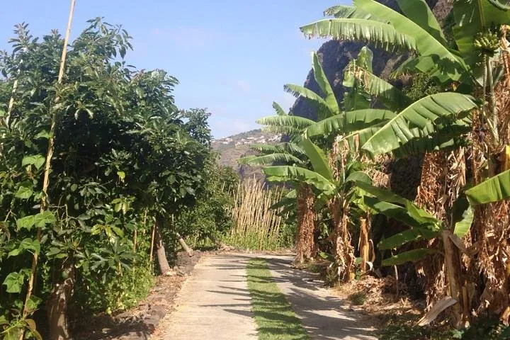 Incredible tour to a 'Faja' with a story