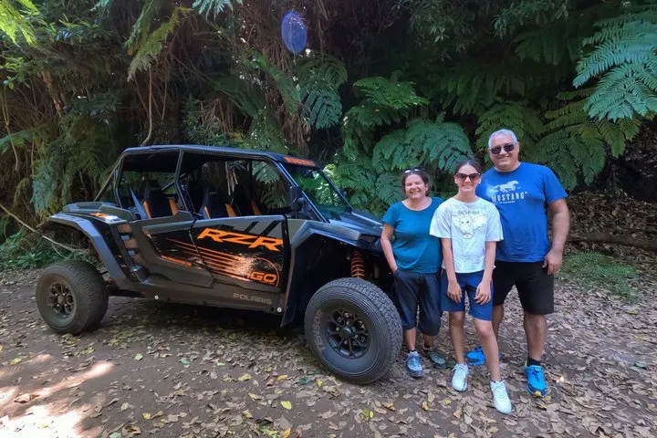 Madeira Private Buggy Adventure: Forest and Mountains