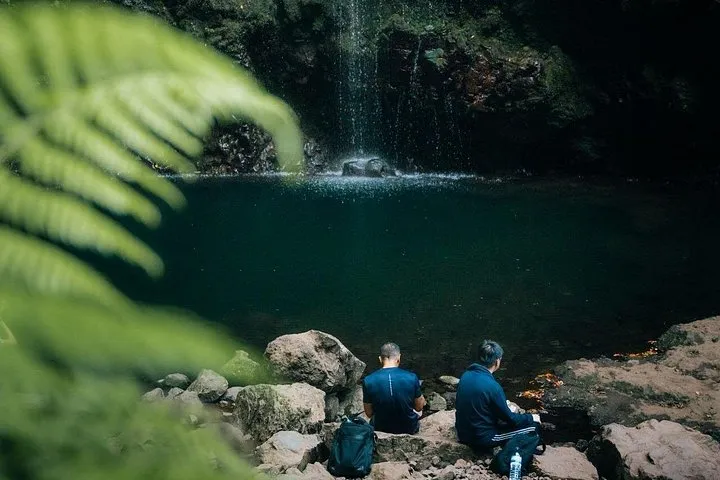 PR9 Caldeirão Verde Queimadas Levada Self-Guided Hiking Transfer
