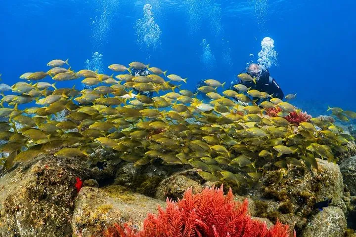 First-Time Scuba Diving Adventure