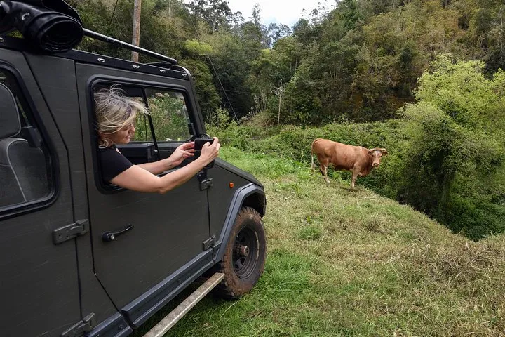 Safari 4x4 Pico Arieiro Santana in Small Group "FlowerEAST"