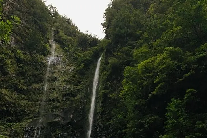 Transfer to PR9 - Levada do Caldeirão Verde