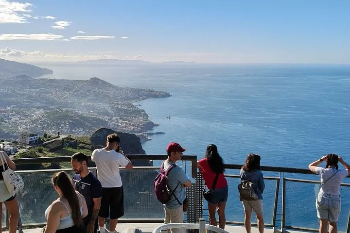 Half-Day Small-Group Wine Tour in Madeira