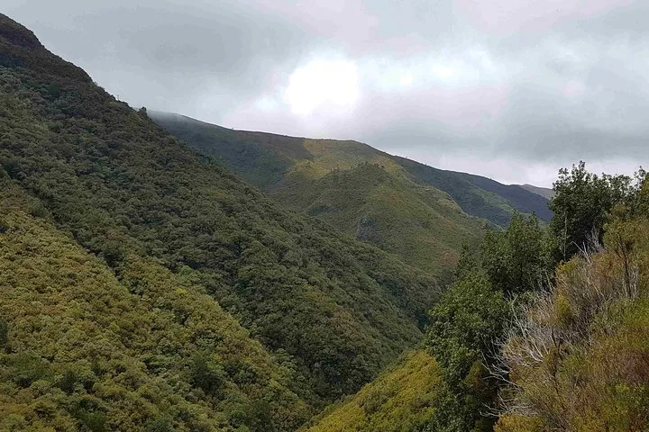 Private Guided Walk Levada 25 Fontes