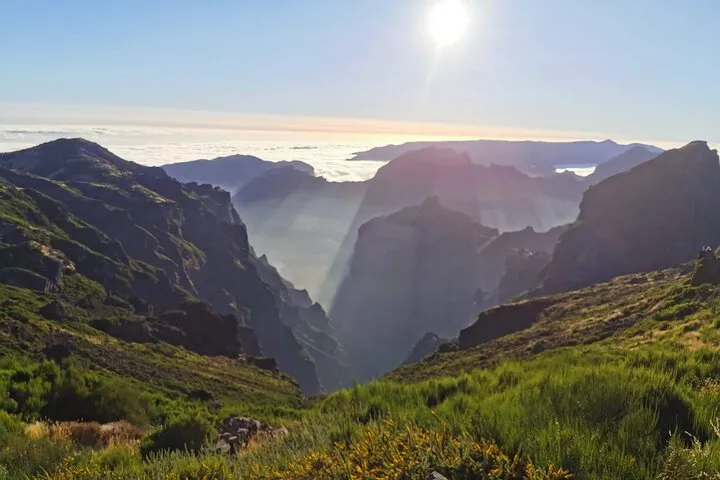 3rd Highest pick of Madeira