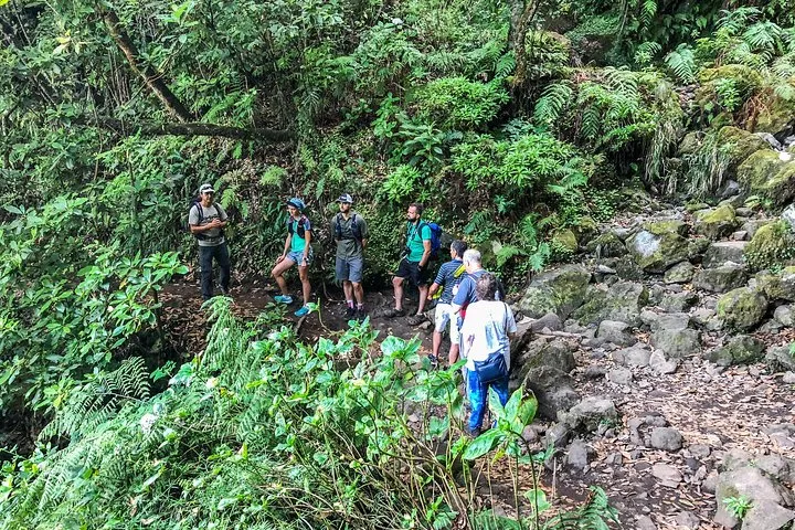 Walk with a local