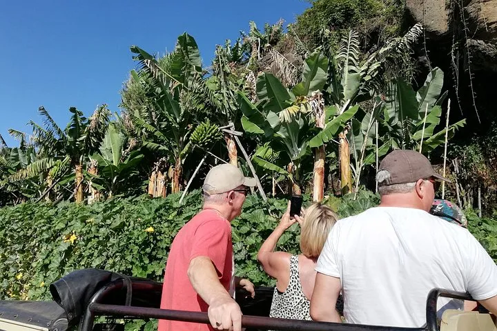 Porto Moniz - Private Full-Day - Safari 4x4 Tour - NorthWest