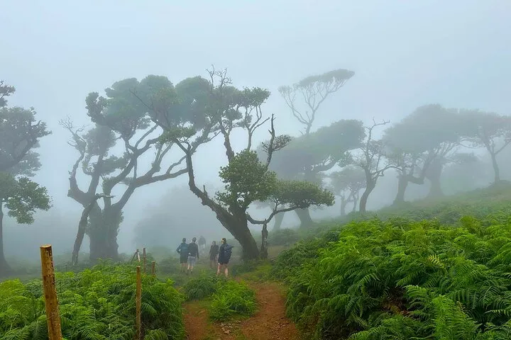 Fanal Assobiadores - Mountain Walk
