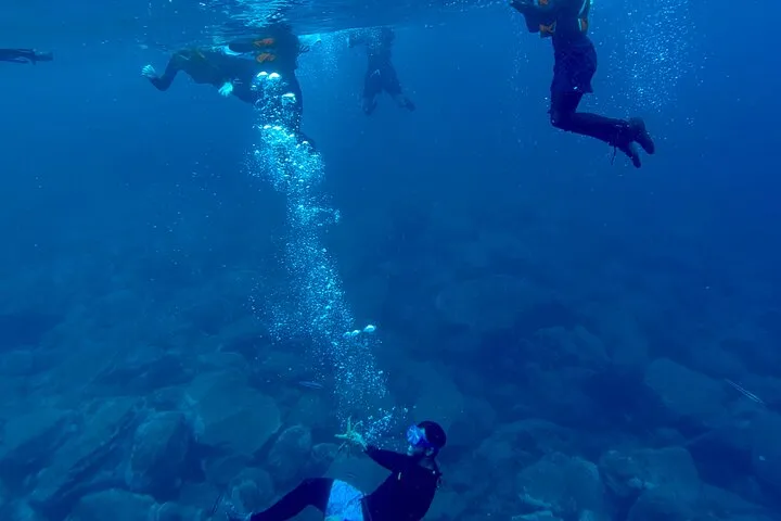 Coasteering Adventure with Snorkeling from Funchal