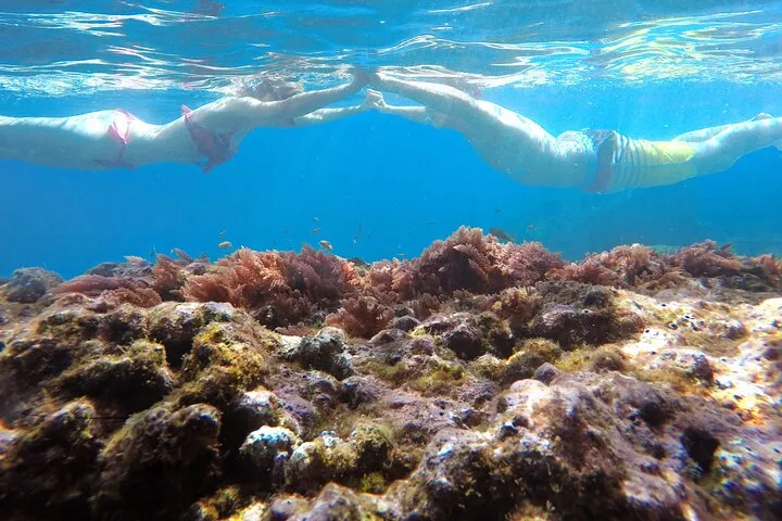 Kayak and Snorkeling Tour in Underwater Nature Reserve Garajau, photo 6