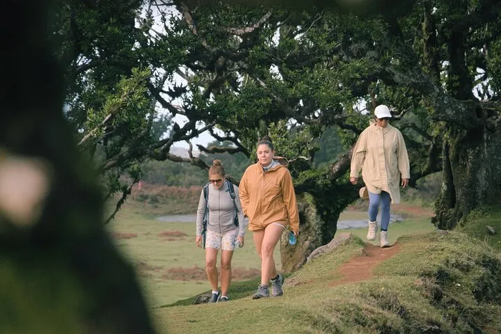 West Madeira 4x4 Tour with Local Guide, photo 6