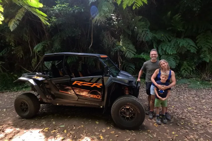 Madeira Private Buggy Adventure: Forest and Mountains, photo 6