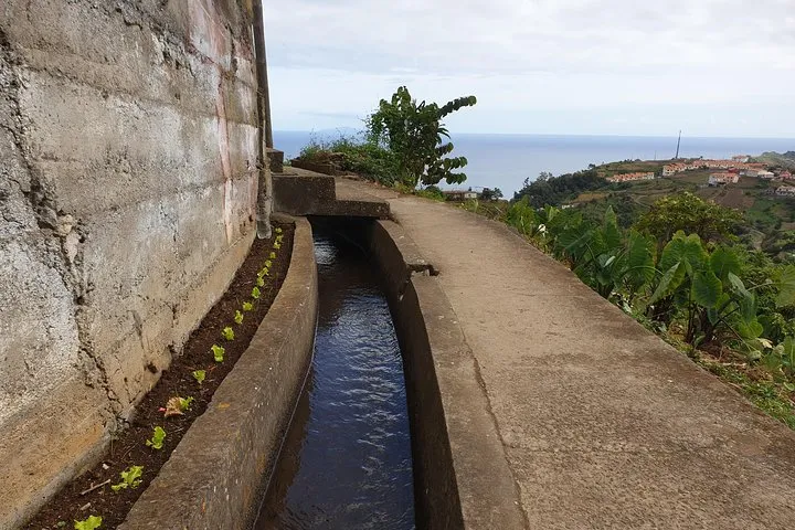 Levada da Referta - Castelejo, photo 6