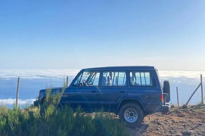 Fanal Forest, Skywalk & Lava Pools: West Madeira 4x4 Expedition, photo 6
