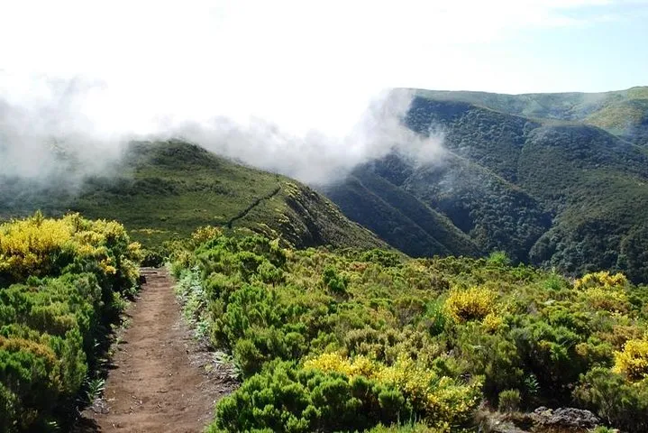 Green Mountain Views