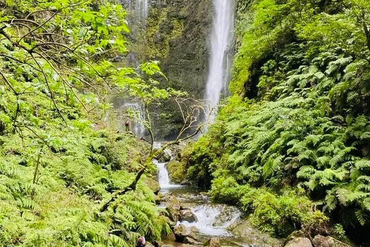 Transfer to PR9 - Levada do Caldeirão Verde, photo 6