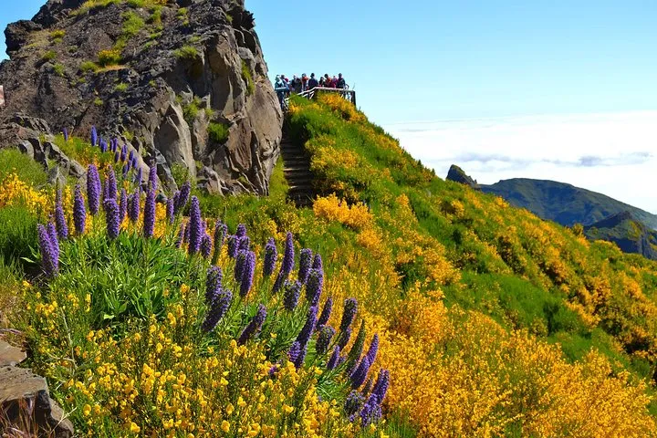 Madeira Peaks - Mountain Walk, photo 6
