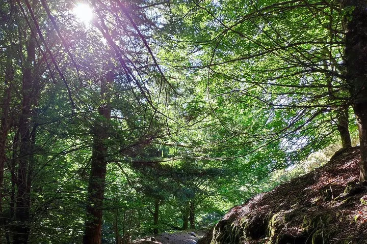 Gastro hike (Private Tour), photo 6