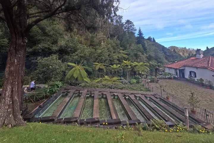 Madeira 4x4 Jeep Tour : Pico Arieiro & Santana Traditional Houses, photo 7